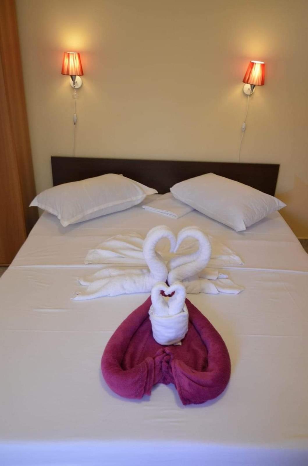 Hotel Vila Robert Schitu Zewnętrze zdjęcie