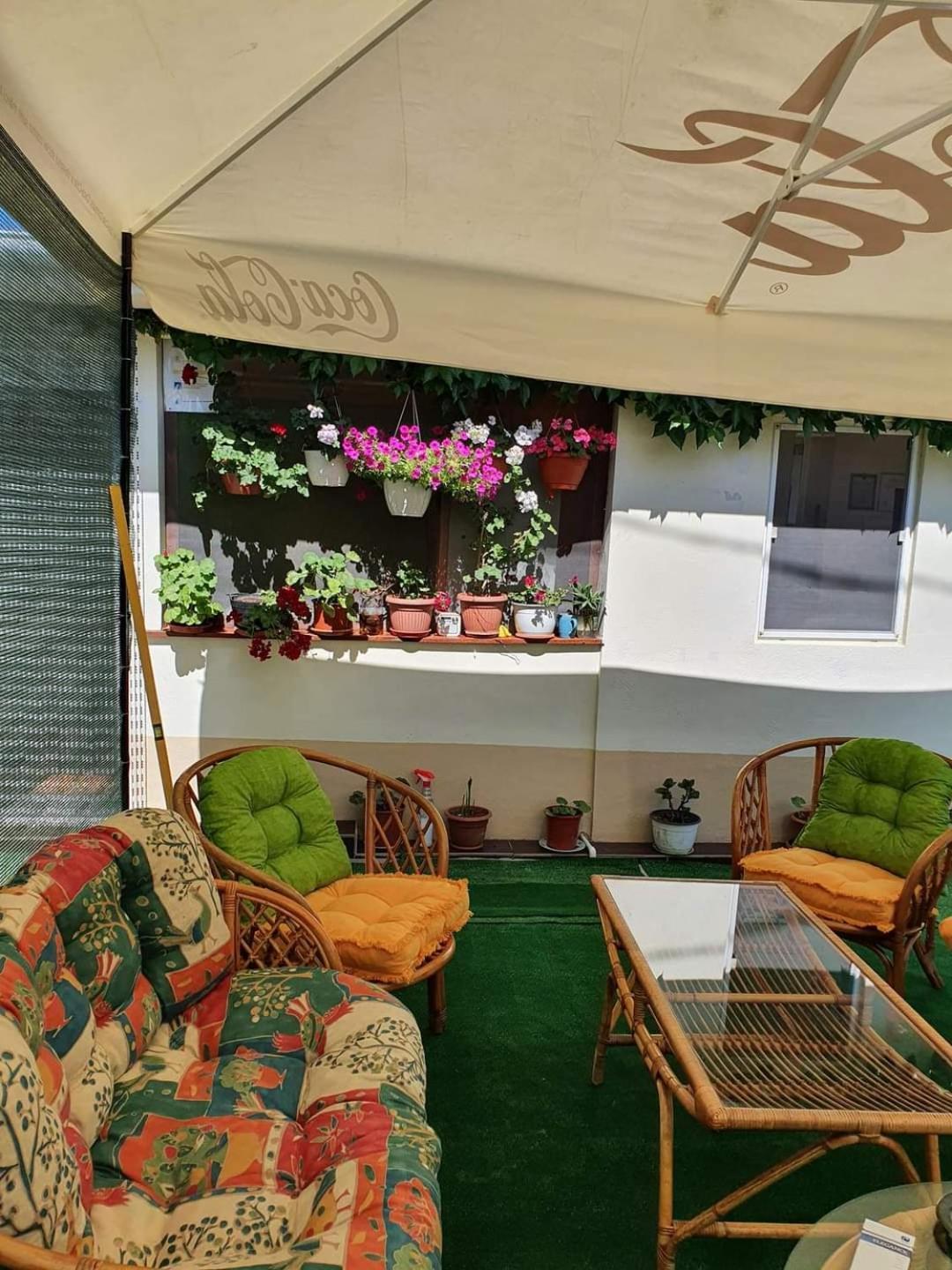 Hotel Vila Robert Schitu Zewnętrze zdjęcie