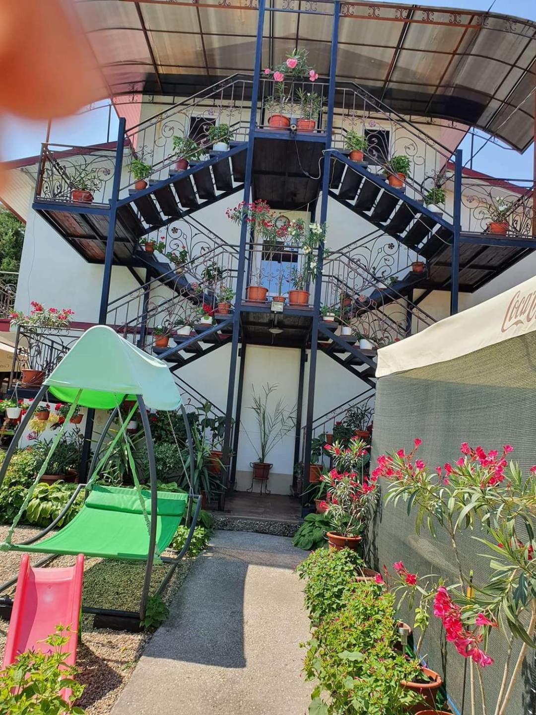 Hotel Vila Robert Schitu Zewnętrze zdjęcie