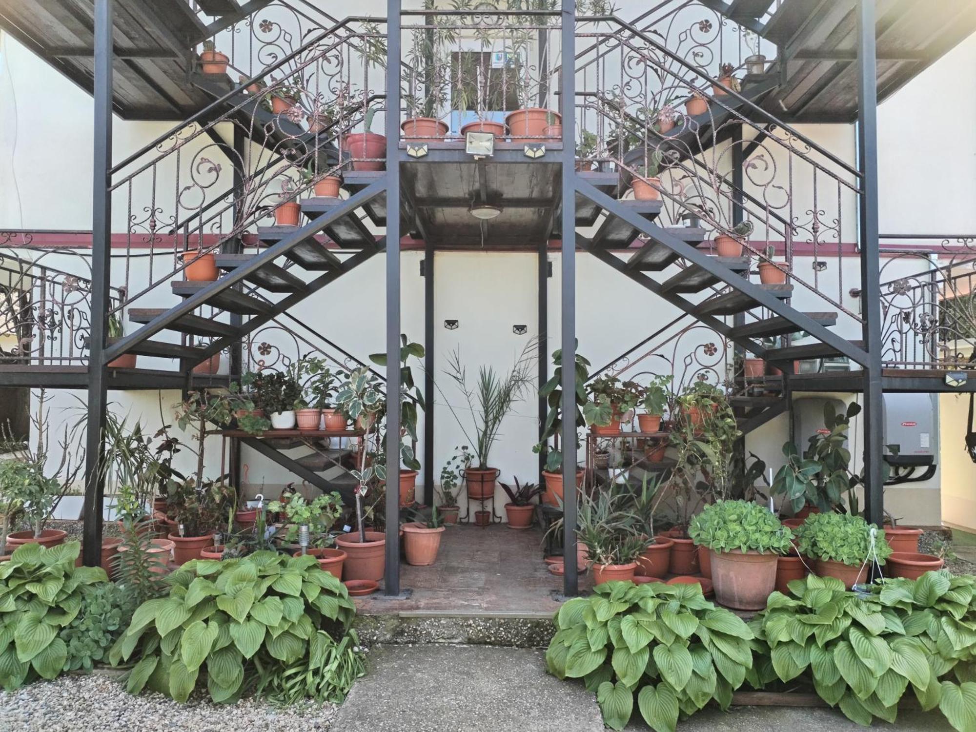 Hotel Vila Robert Schitu Zewnętrze zdjęcie